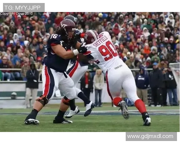 橄榄球运动发展历程与全球影响力探析