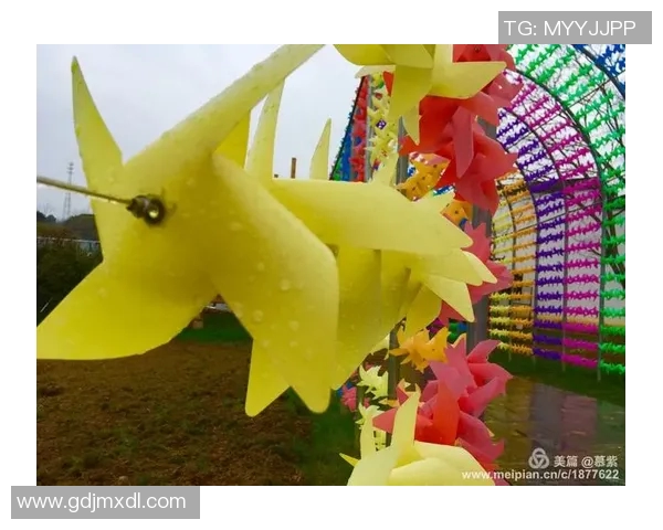 飞盘追梦：王秀英的运动人生与心灵对话之旅