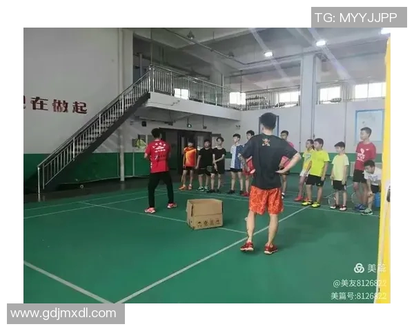 成都羽毛球队运营分析:成功经验与面临挑战的全面探讨 成都羽毛球队运营分析:成功经验与面临挑战的全面探讨